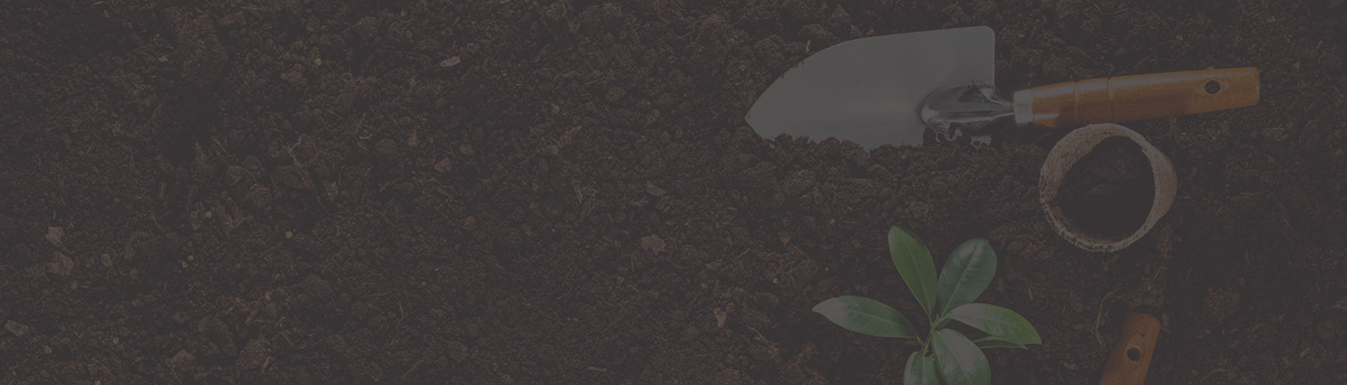 صورة خلفية صفحة فريق العمل